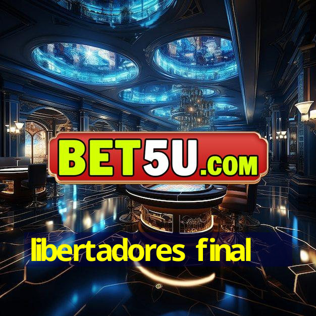 libertadores final